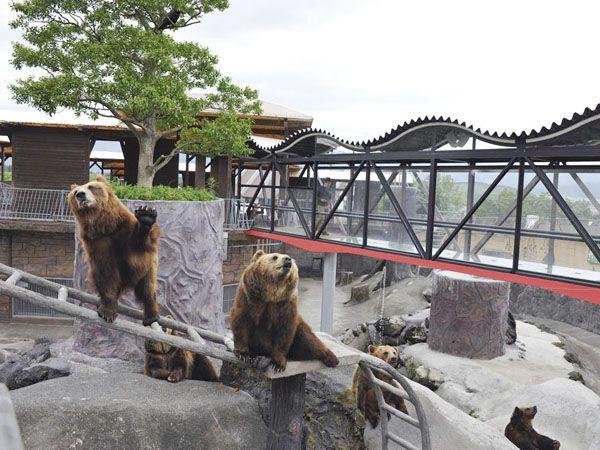 🏞️ 아소 커들리 도미니언 이미지 1